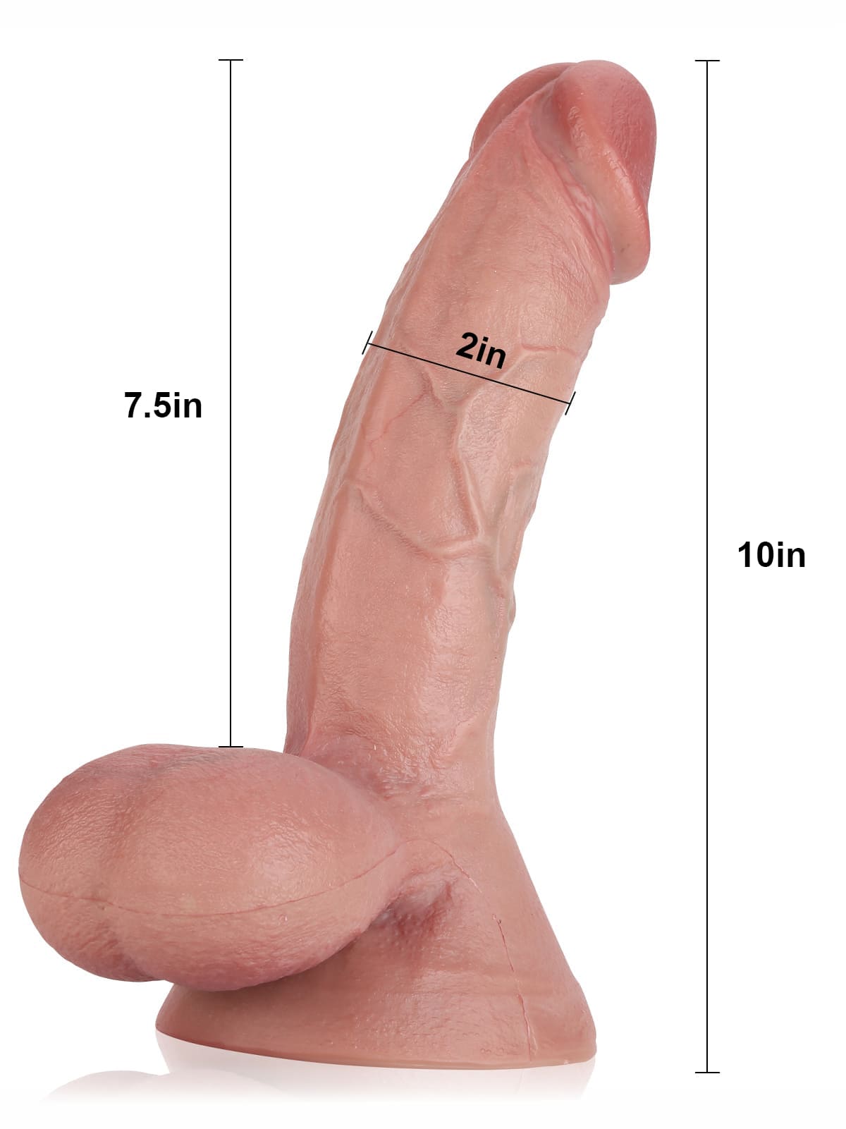 Rob 10" x 2" Realistic Soft Dildo With Swinging Balls & Metal Keel Bendable - RealCocks